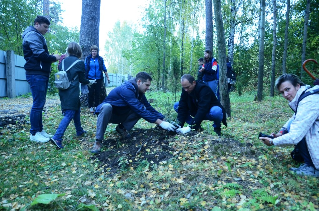 анонс_посадим елочку